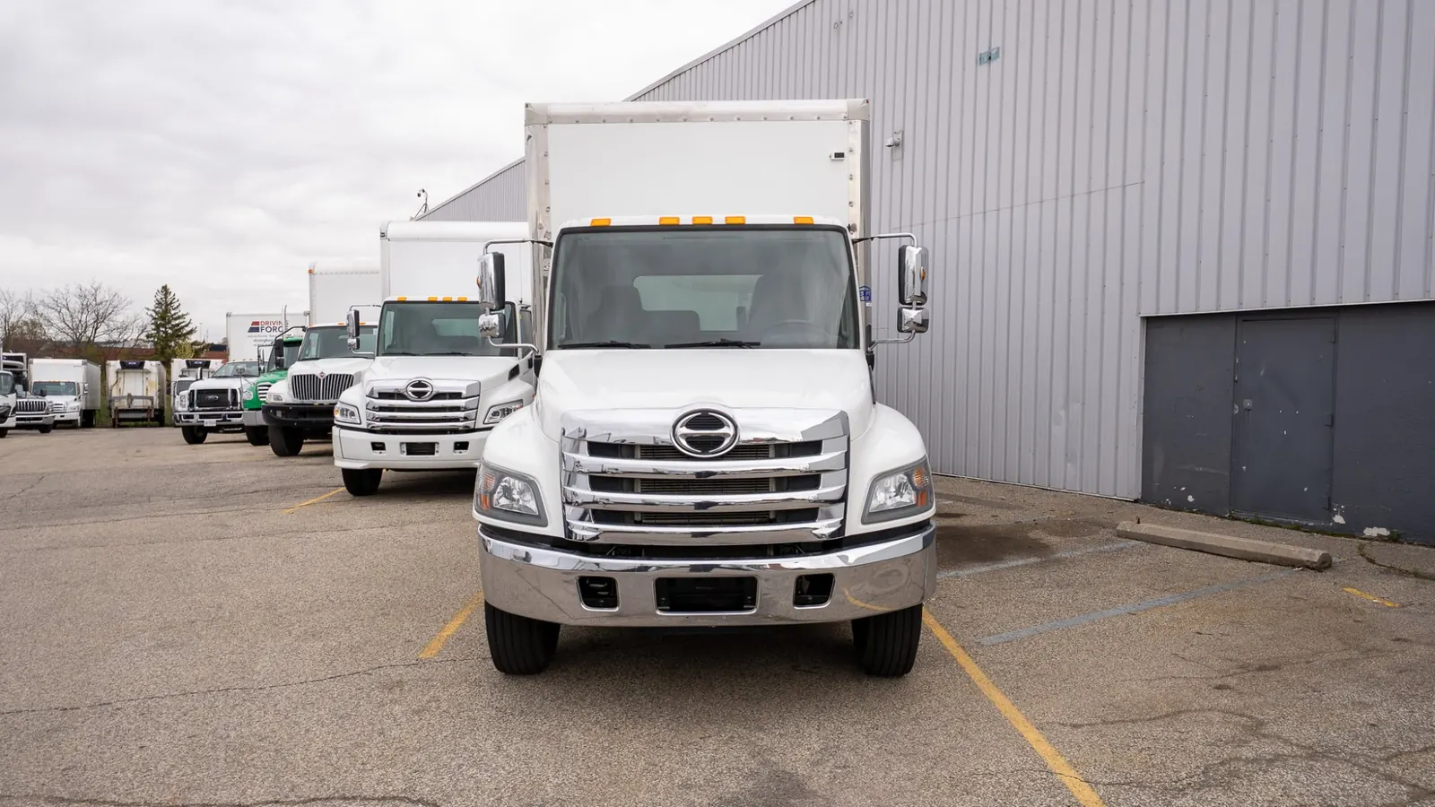 Box trucks lined up in the yard